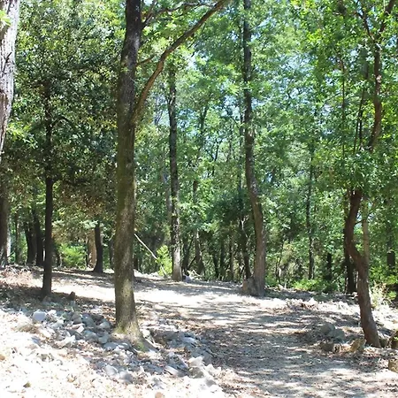 Cipressi Nyaraló *