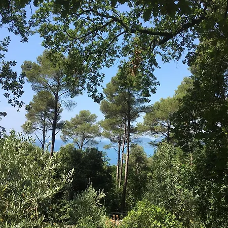 Cipressi Zanego