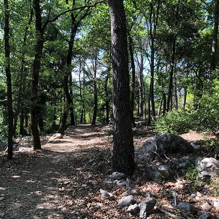 Cipressi Hébergement de vacances