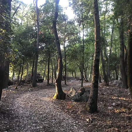 Cipressi Hébergement de vacances *