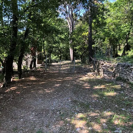Nyaraló Cipressi *