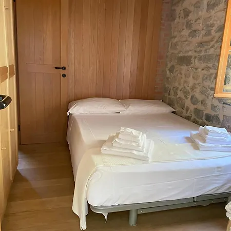 Cipressi *